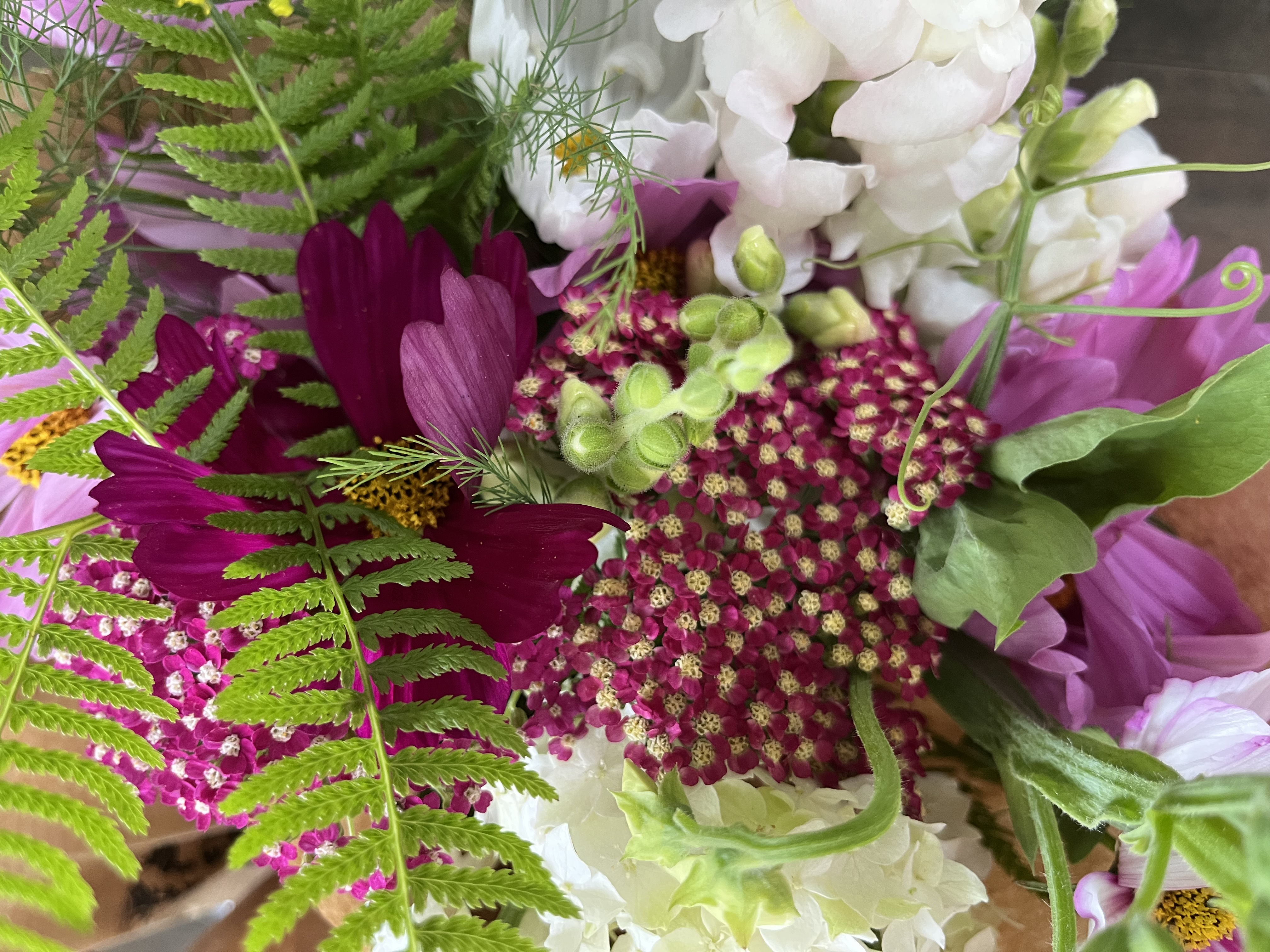 Bright and Cheerful Mid Summer Share