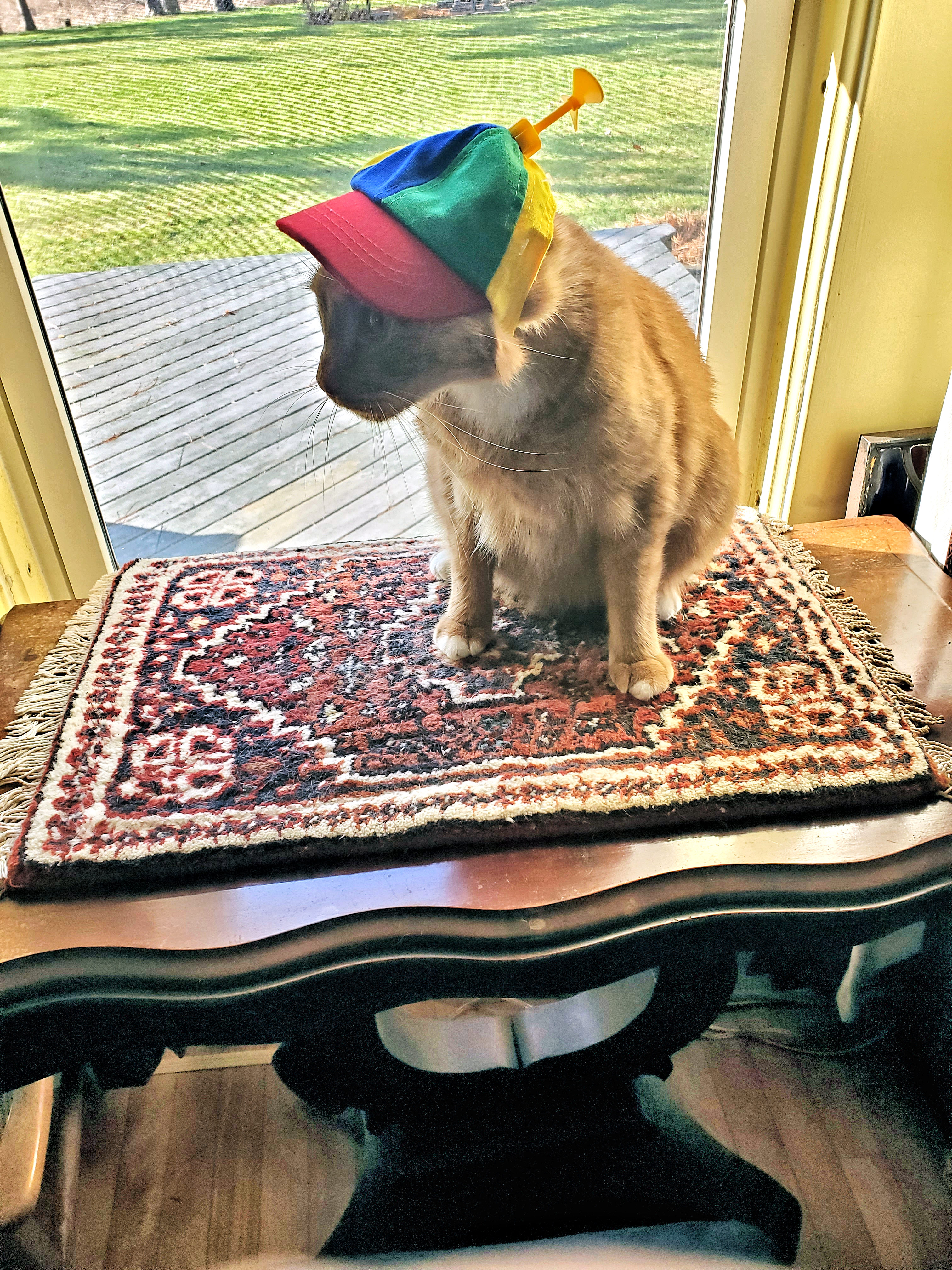 Owen says New Art Quilts Coming Soon