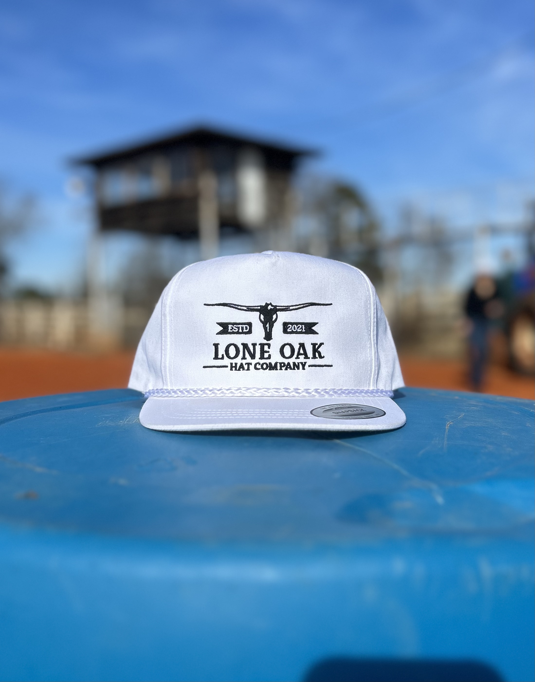 High Profile Longhorn