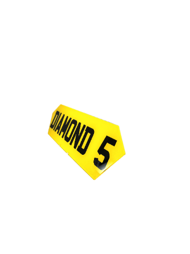 Diamond 5 Shaped Plate - Choose Your Lettering Style