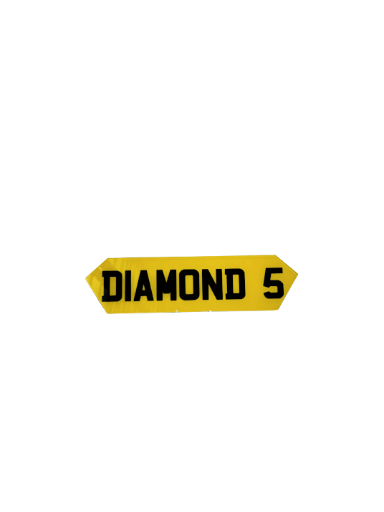 Diamond 5 Shaped Plate - Choose Your Lettering Style