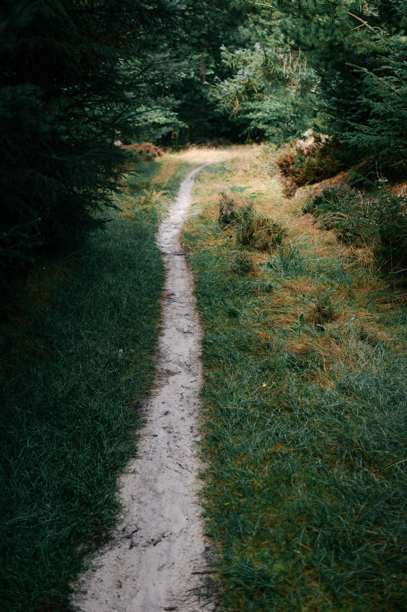 Ein Abend mit Magnus Wessel