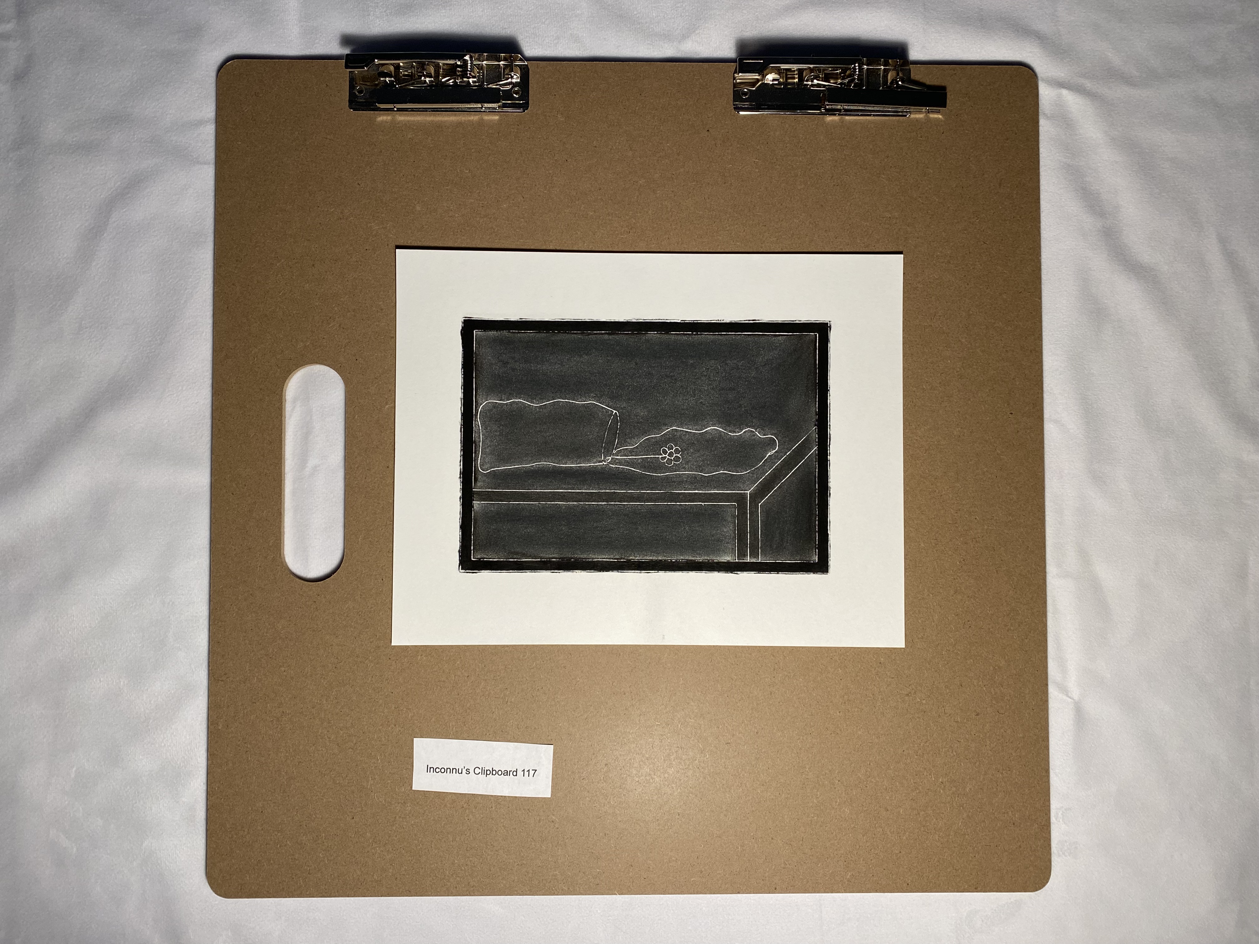 Bellis perennis No. 4