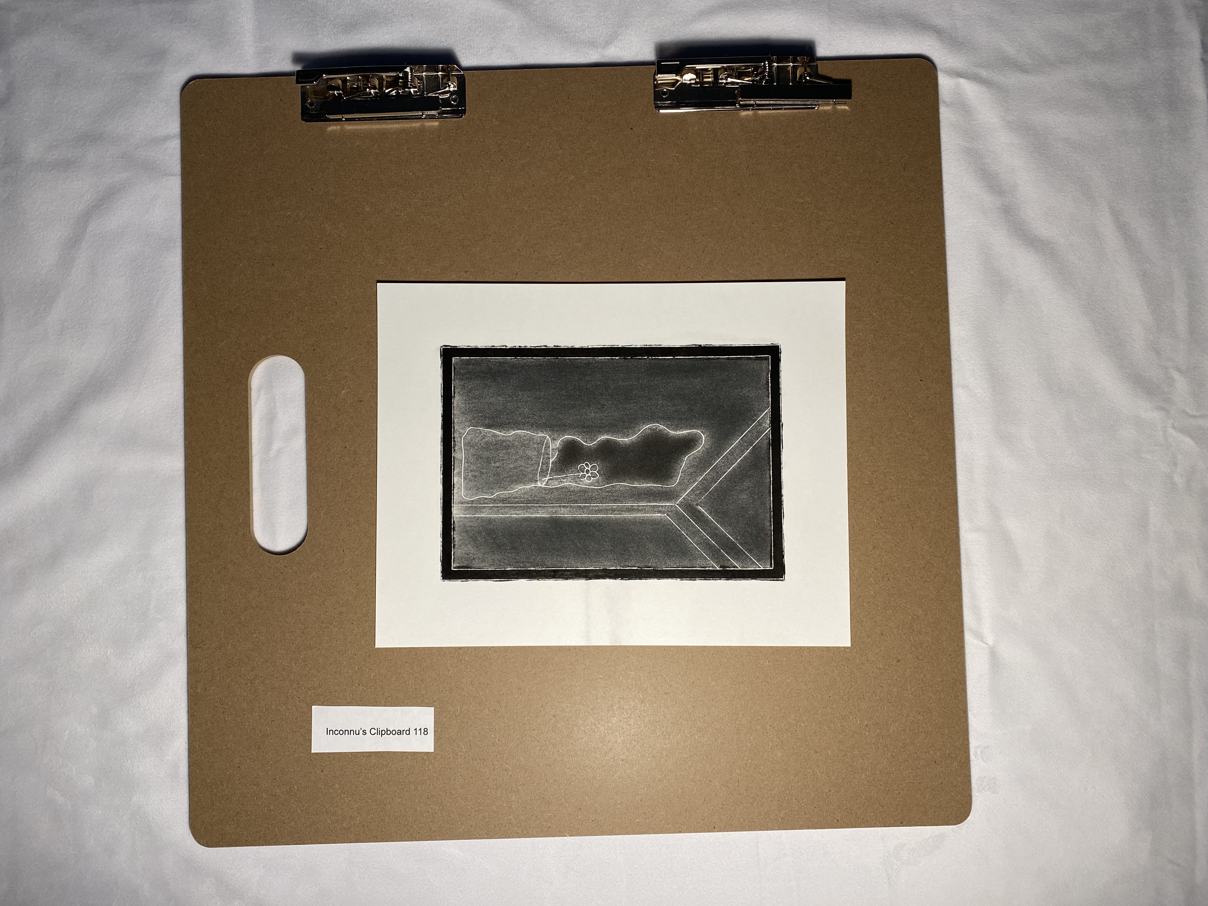 Bellis perennis No. 3