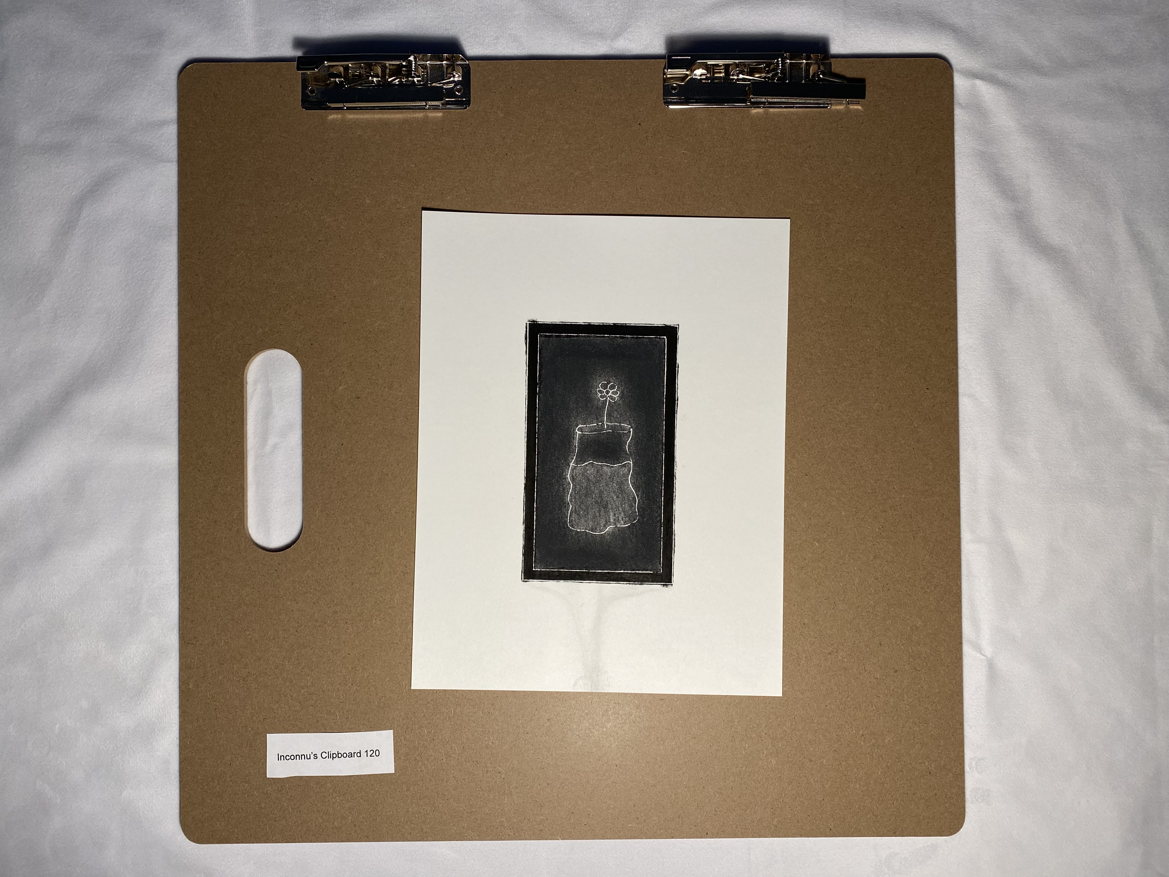 Bellis perennis No. 1