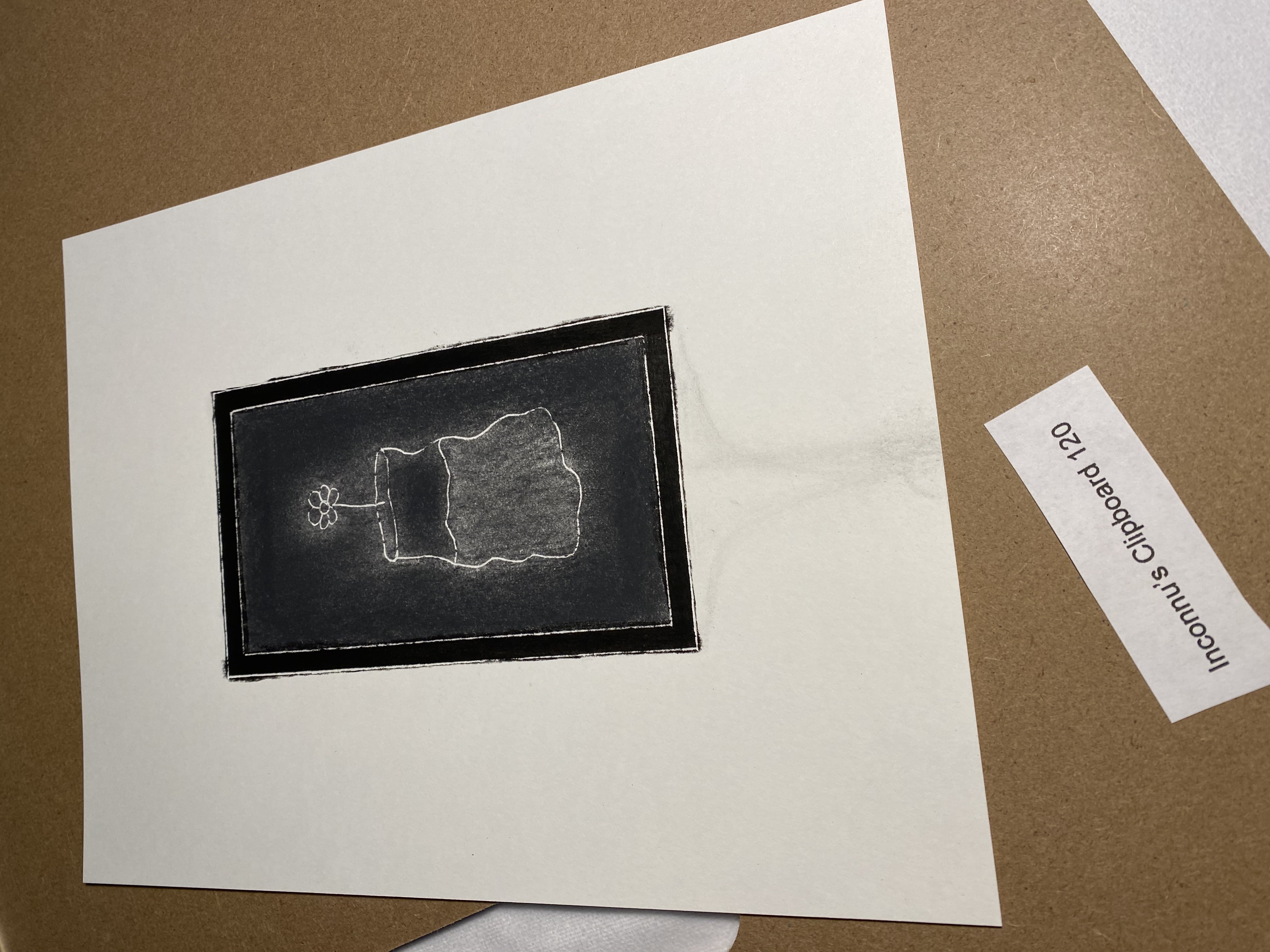 Bellis perennis No. 1