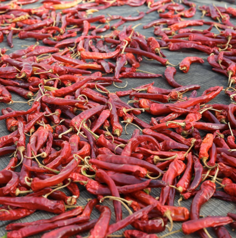 Dried chili peppers