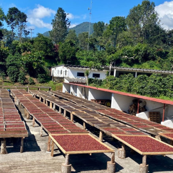 Mexikó