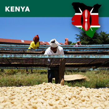 Kenya
