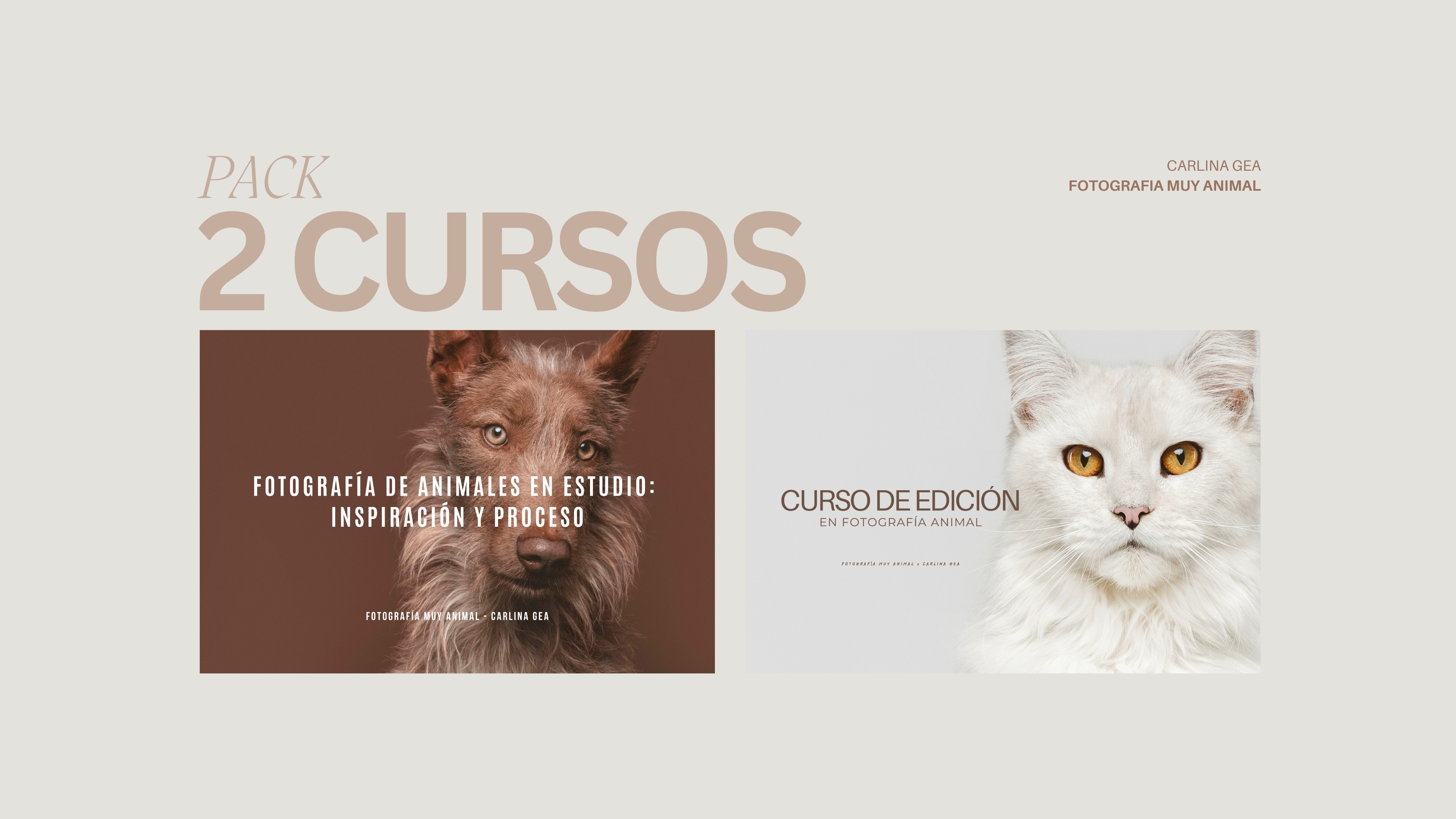 Pack 2 Cursos: Fotografía en Estudio y Edición