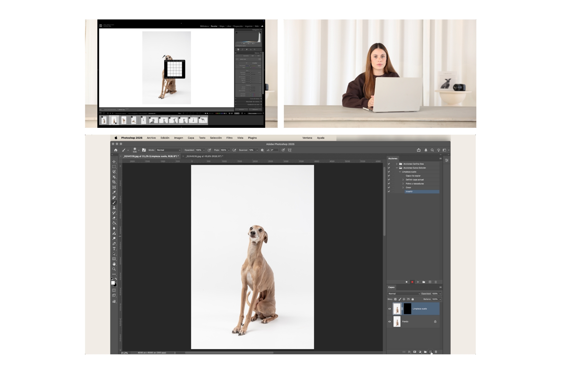 Curso de Edición en Fotografía Animal
