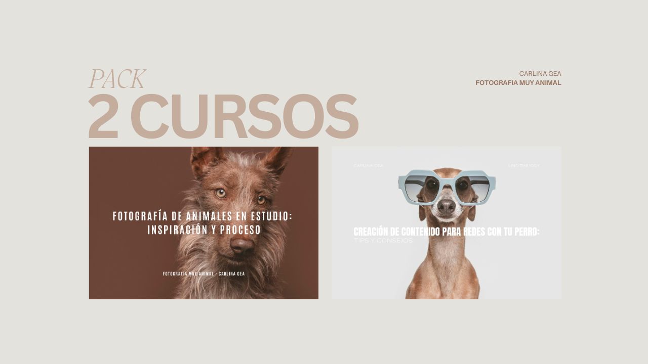 Pack 2 Cursos Online – Fotografía Muy Animal