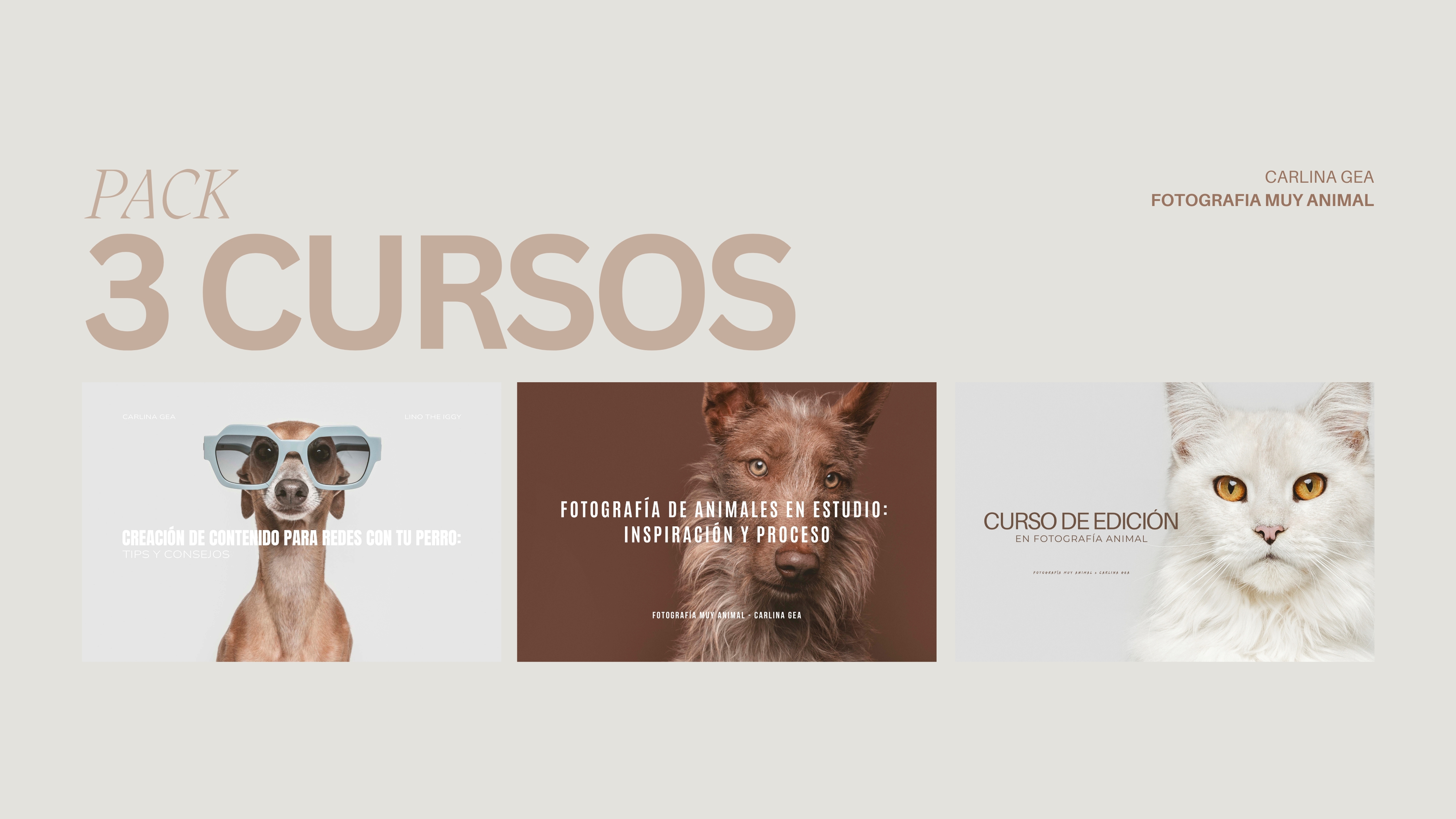 Pack completo: Fotografía en Estudio, Edición y Creación de Contenido