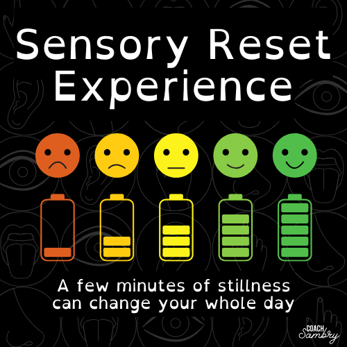 Sensory Reset Experience