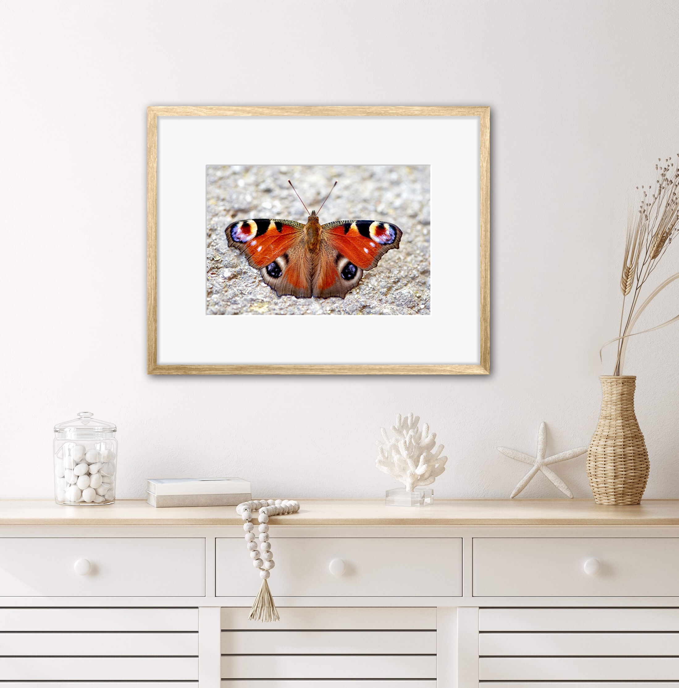 Digital Artwork/Photograph "Butterfly"