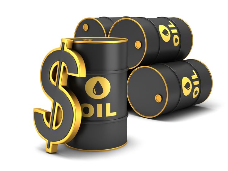 MCX Commodity Subscription