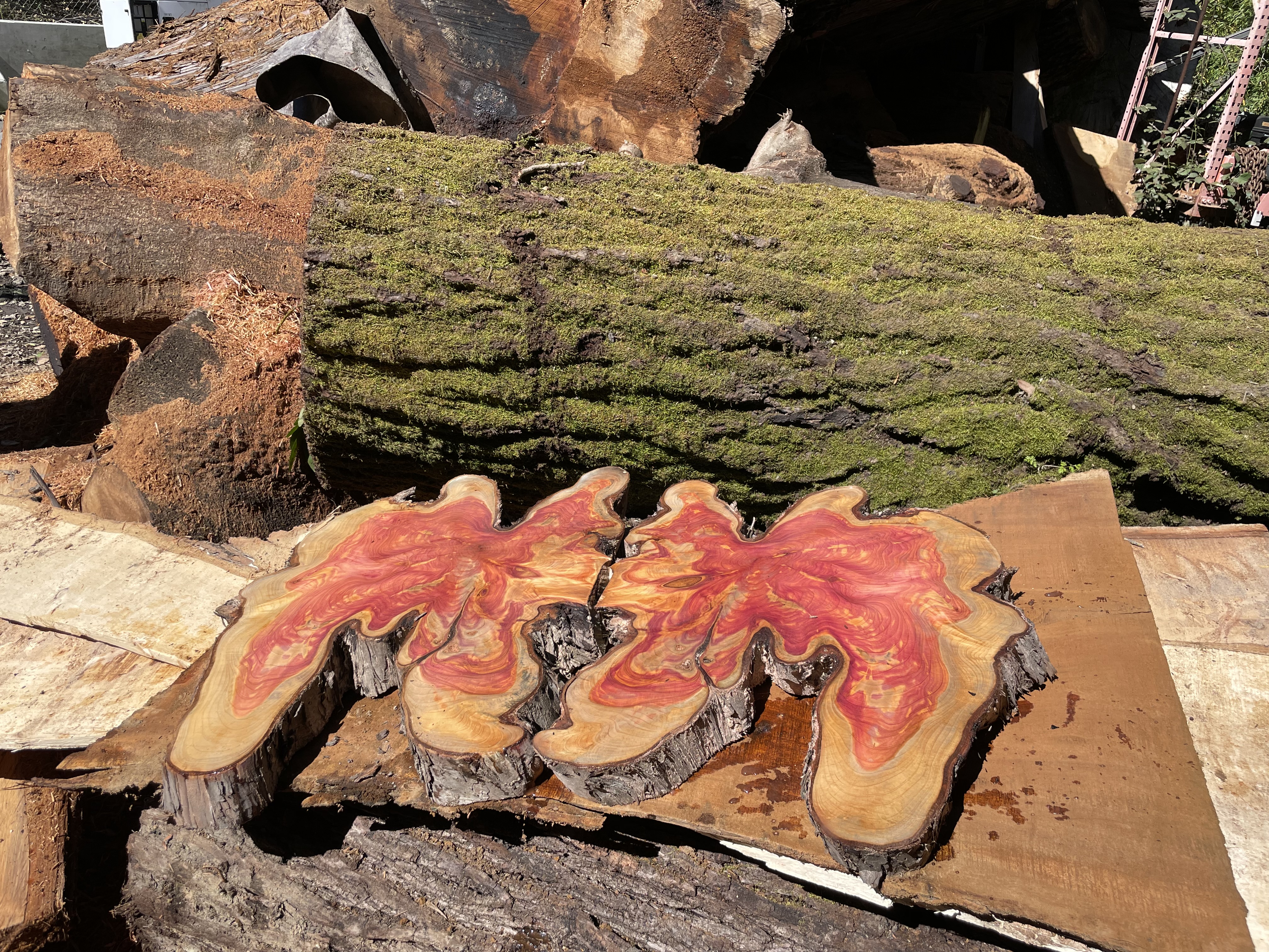 Gorgeous Juniper wood for a unique project  