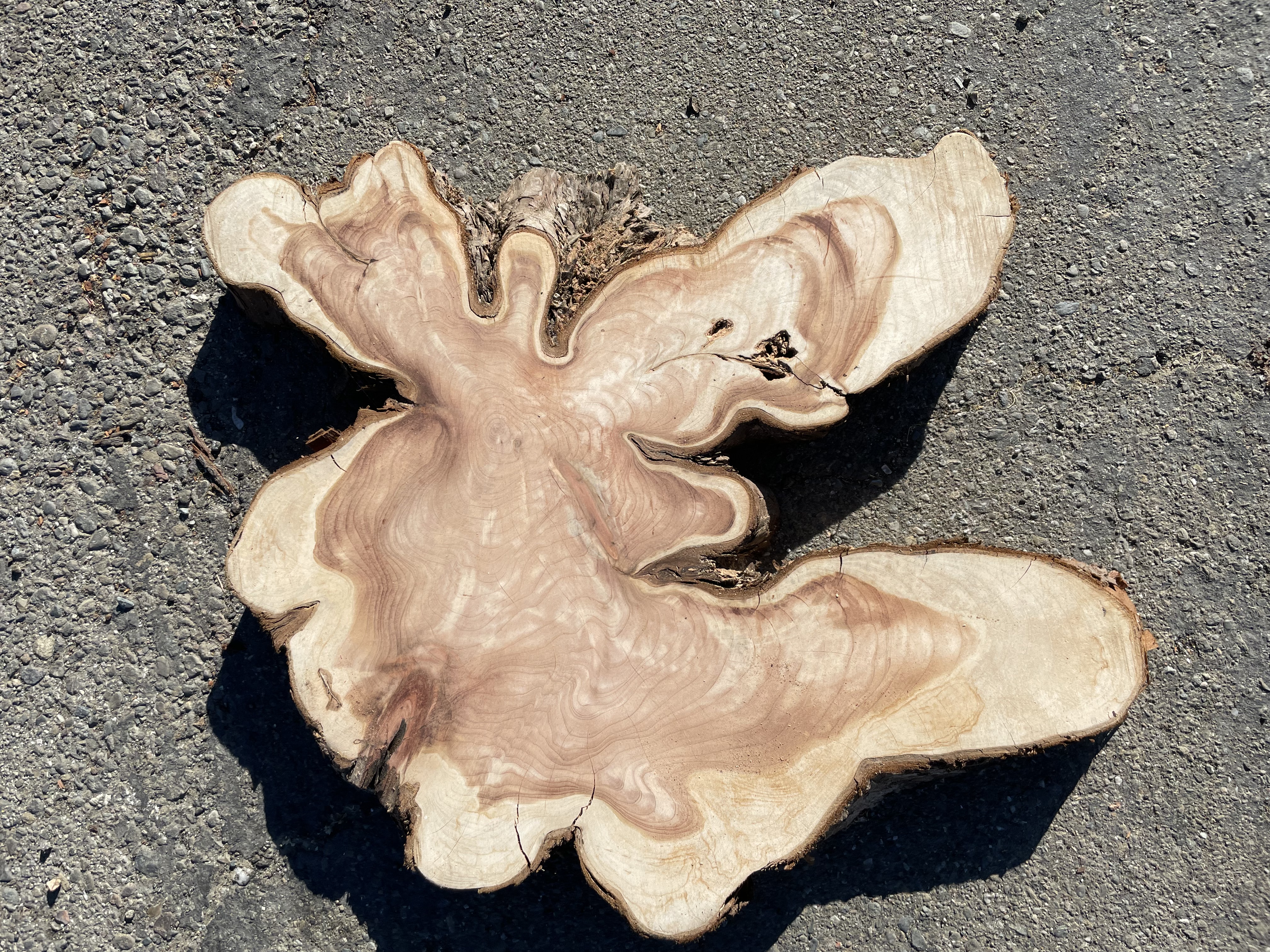 Gorgeous Juniper wood for a unique project  