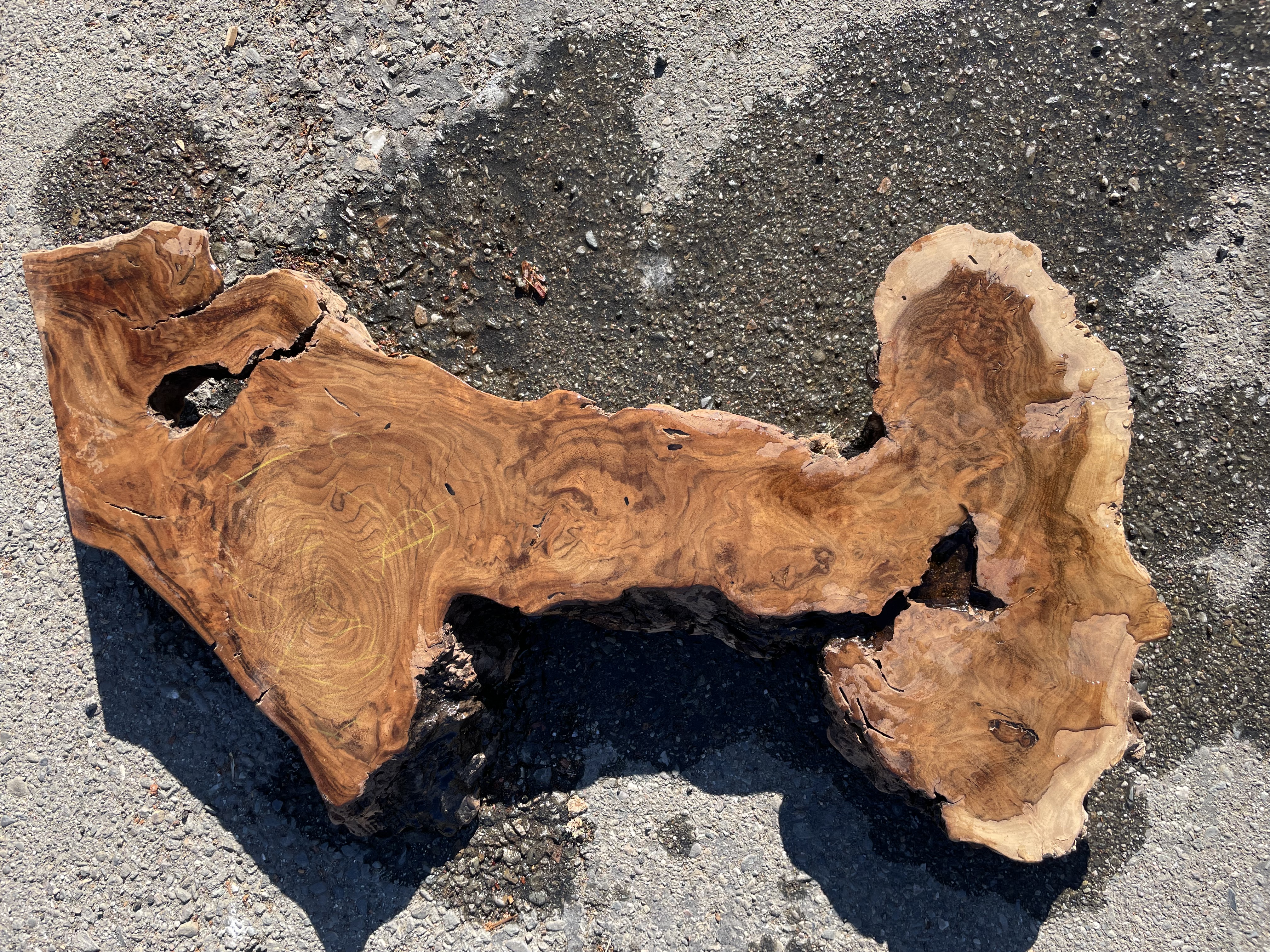 Rich Walnut Burl – Local material- 27" 