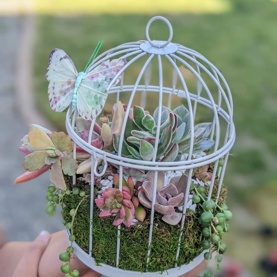 4/10, 12:30 -1:30 PM Kid's Succulent Birdcage Workshop