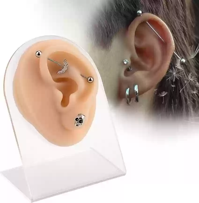 Soft Silicone Ear For Ear Piercing Display