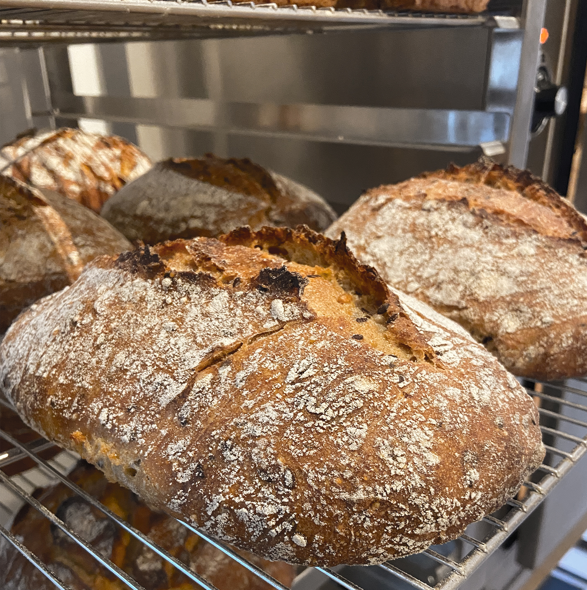 Pain aux blés de Population & graines