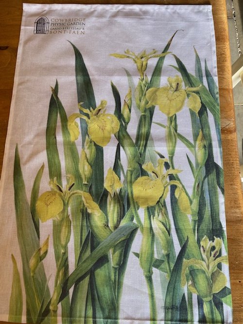Yellow Iris Tea Towel
