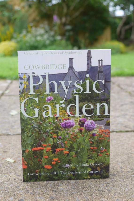 Cowbridge Physic Garden: Celebrating Ten Years of Spadework