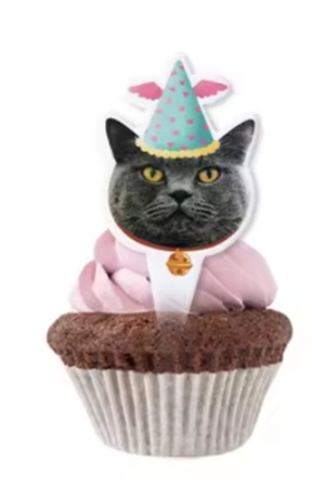 Kačiukų tematikos maisto smeigtukai (Juoda katė)