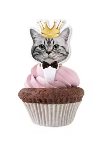 Kačiukų tematikos maisto smeigtukai (Raina katė)