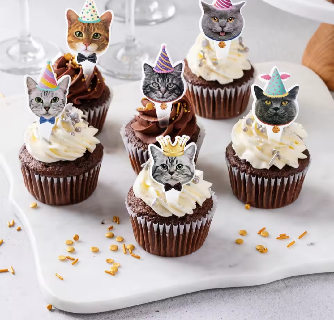 Kačiukų tematikos maisto smeigtukai (Raina katė)