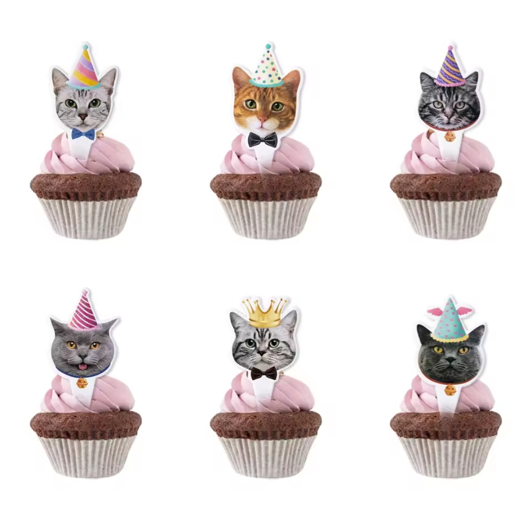 Kačiukų tematikos maisto smeigtukai (Raina katė)