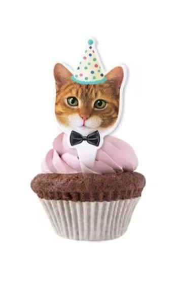 Kačiukų tematikos maisto smeigtukai (Oranžinė katė)