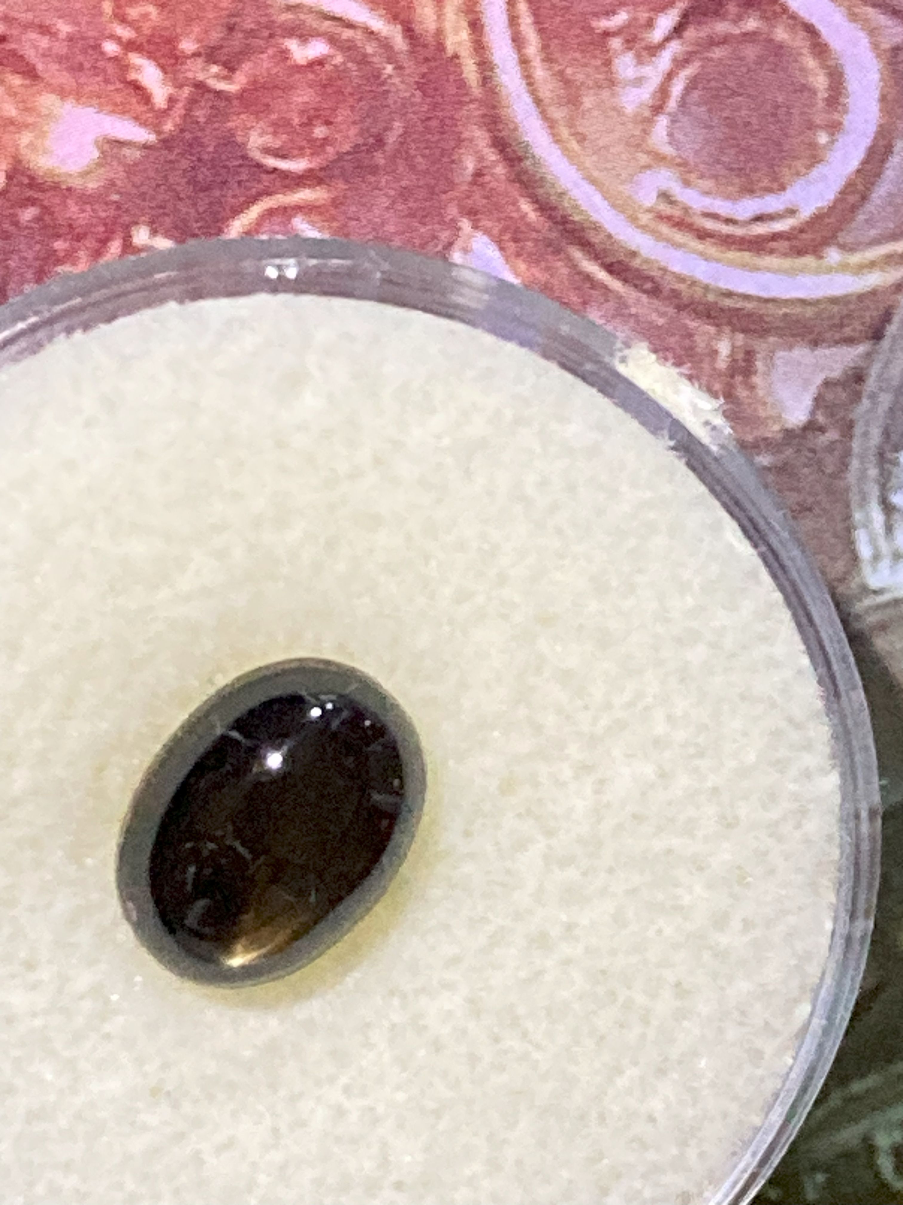 Natural Black Star Sapphire 