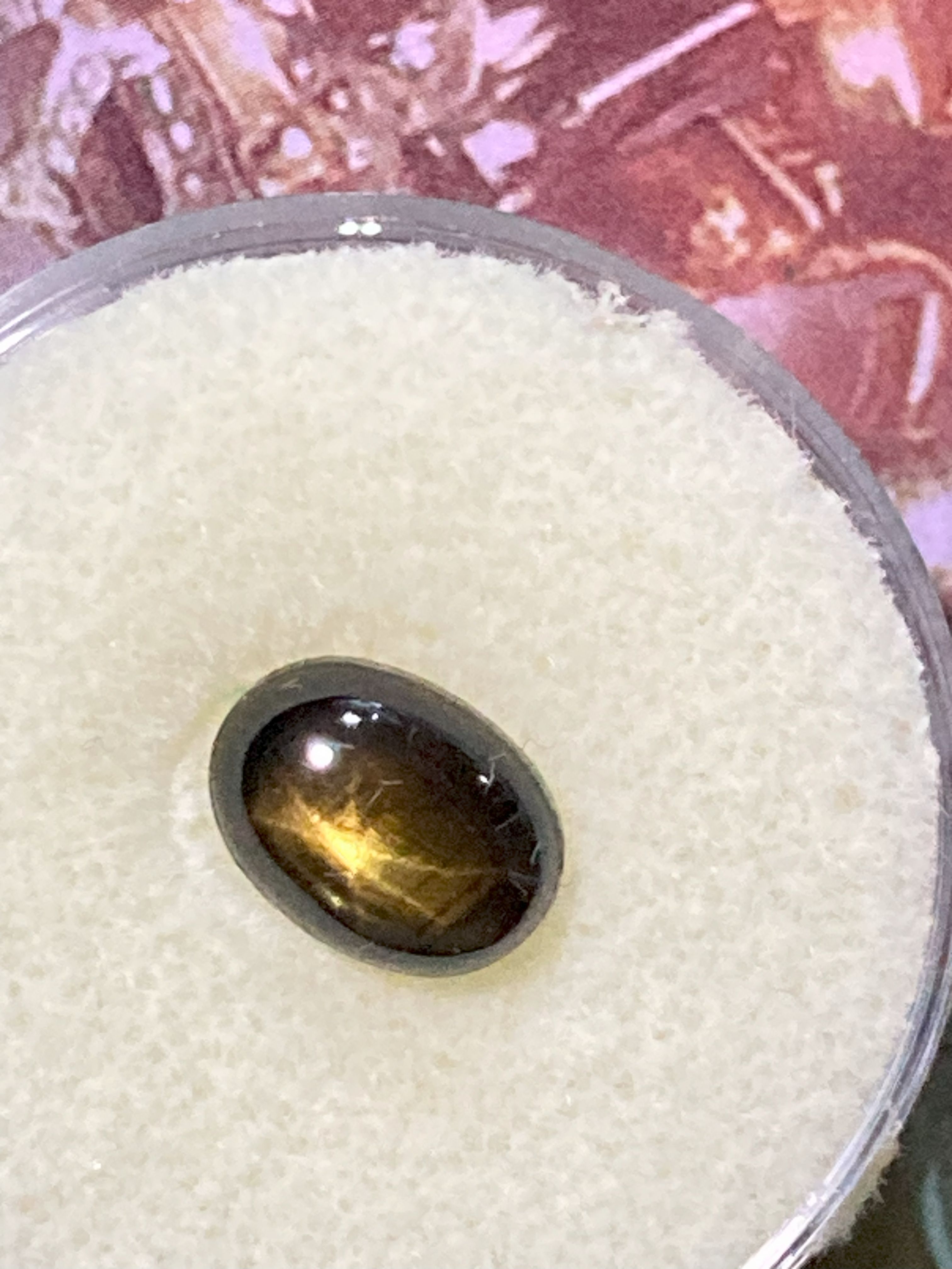 Natural Black Star Sapphire 