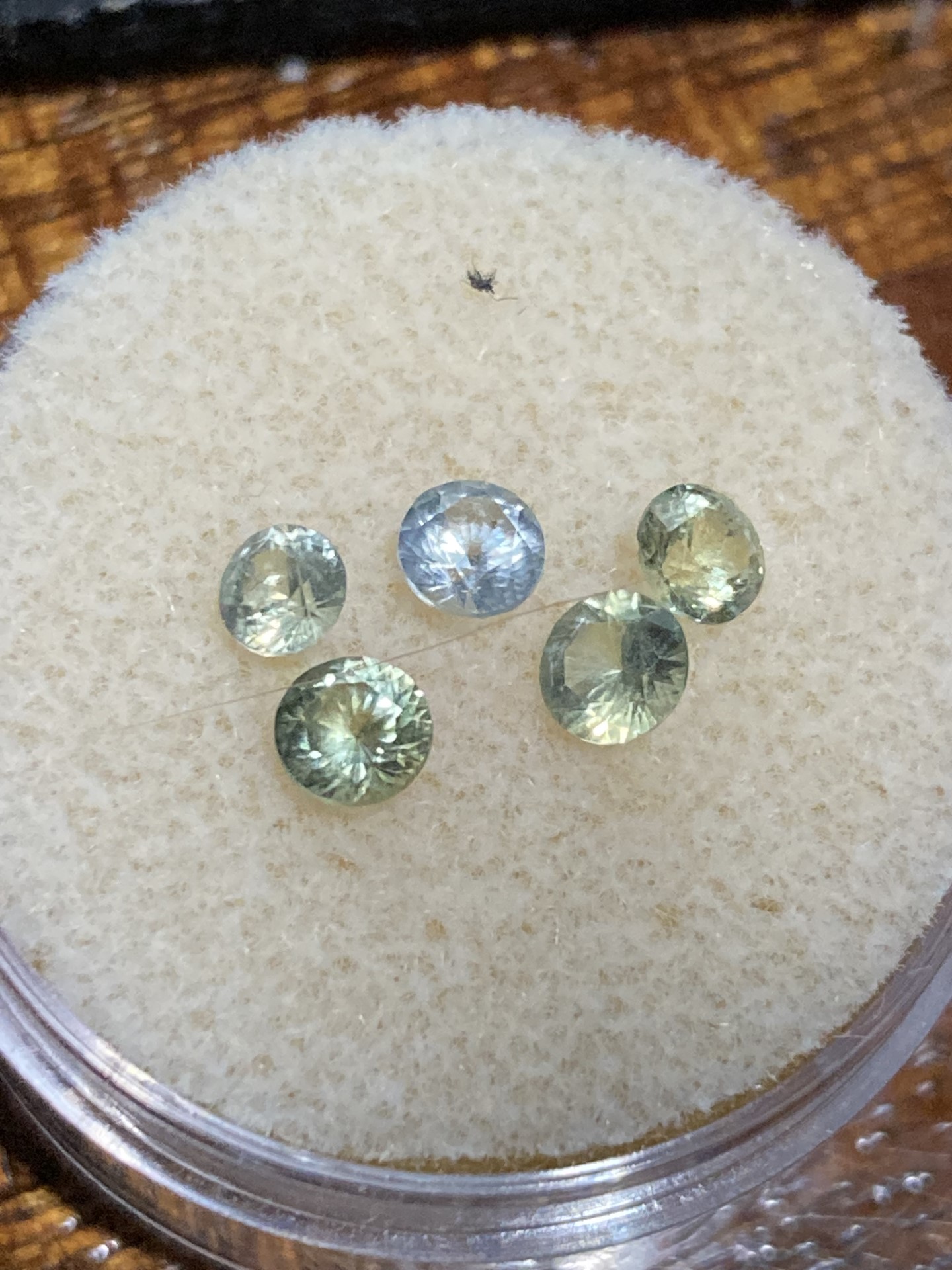 Sapphire - Montana - untreated