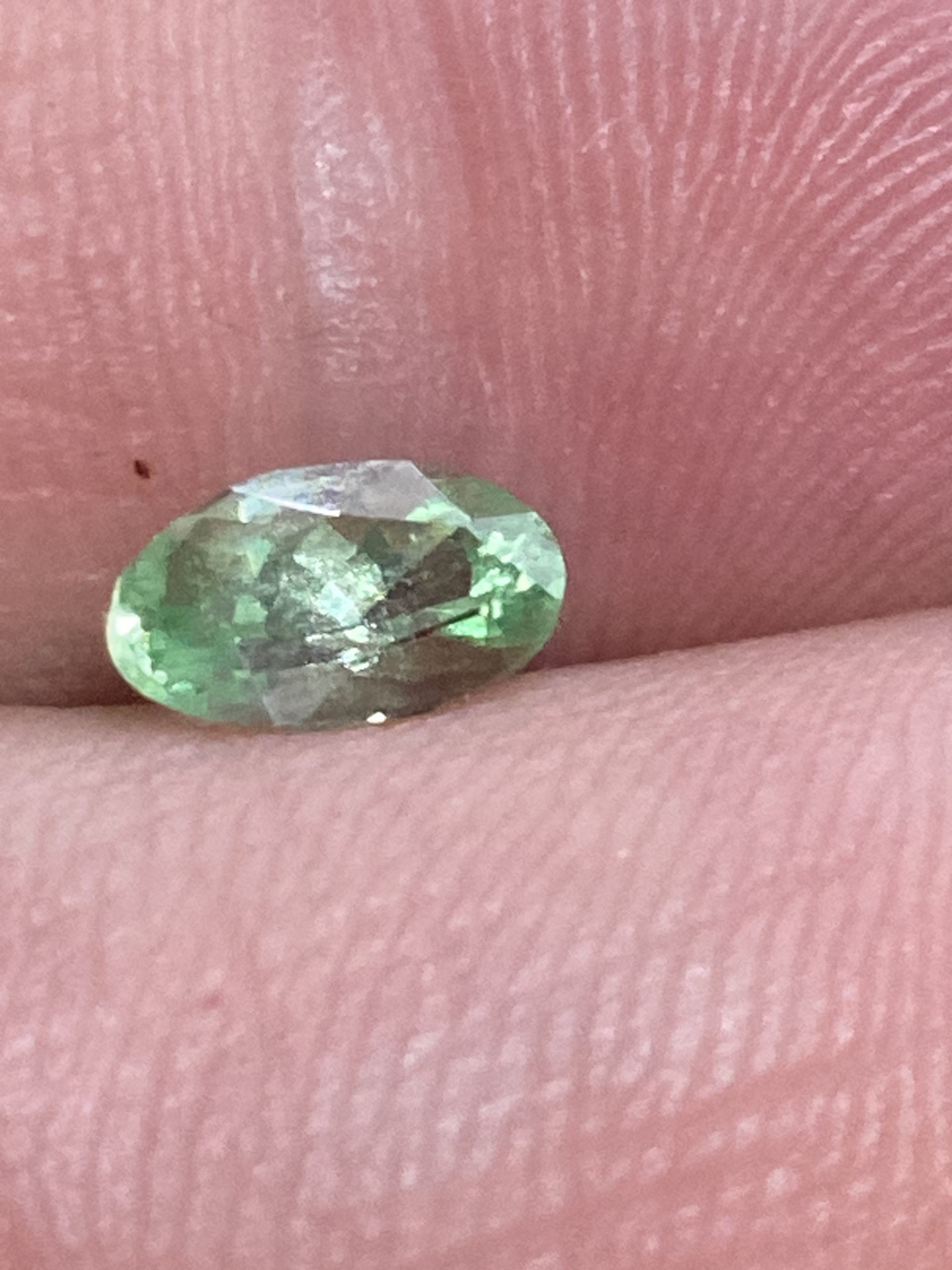 Garnet-Tsavorite- Green