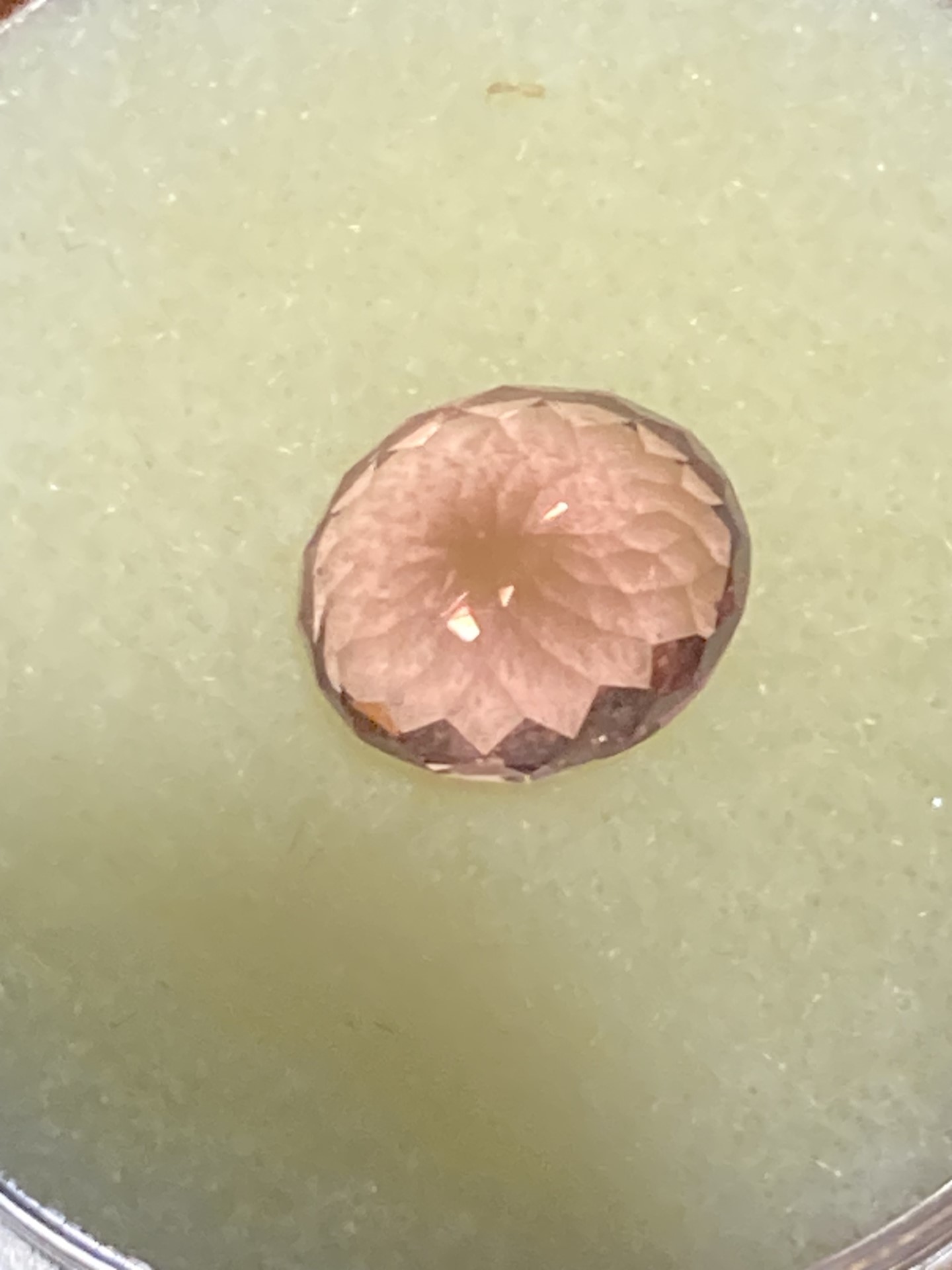 Garnet-Linde Imperial Mandarin