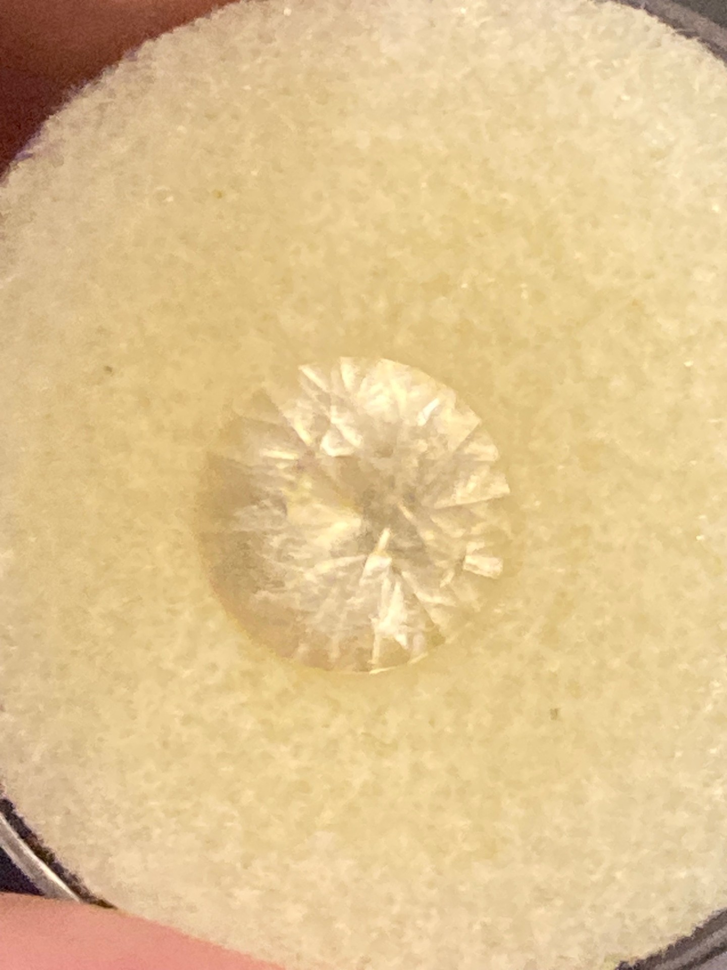 Sunstone- Lemon Yellow