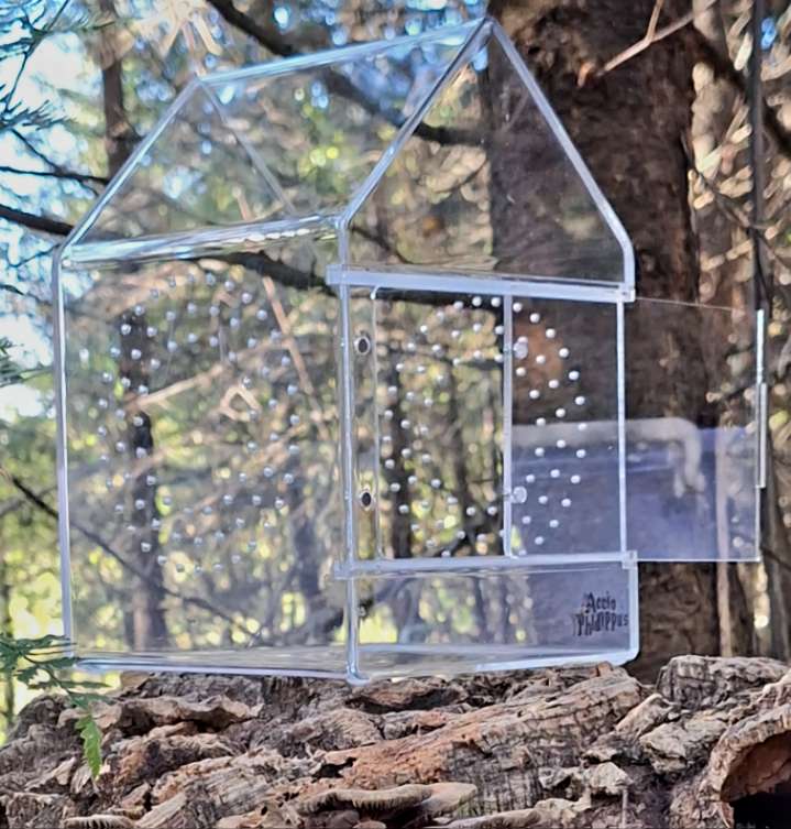 Viridasius Sylvestris : Le kit