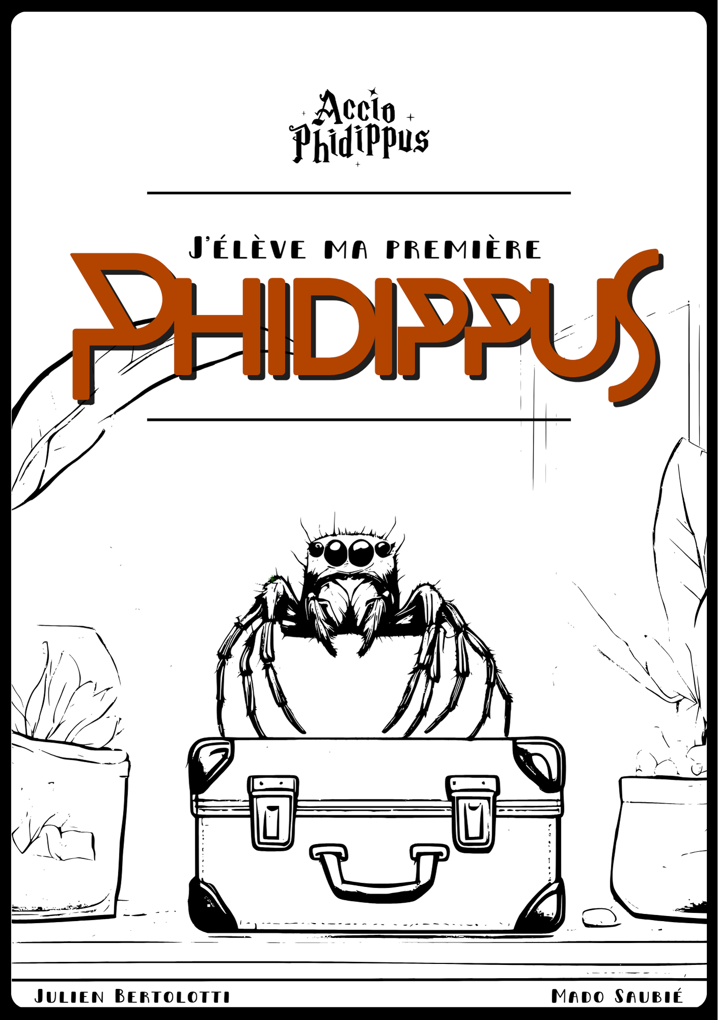 "J'élève ma première Phidippus"
