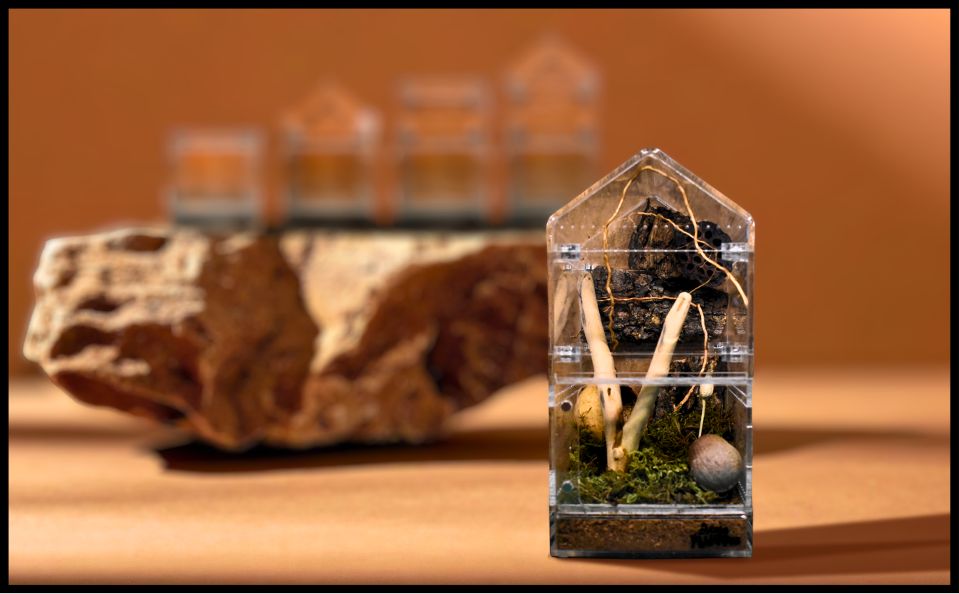 Terrarium Evo  