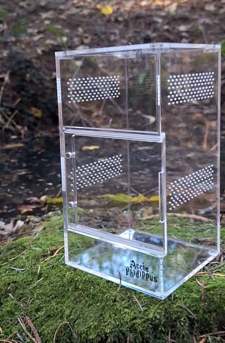 Phidippus Ardens : Le kit