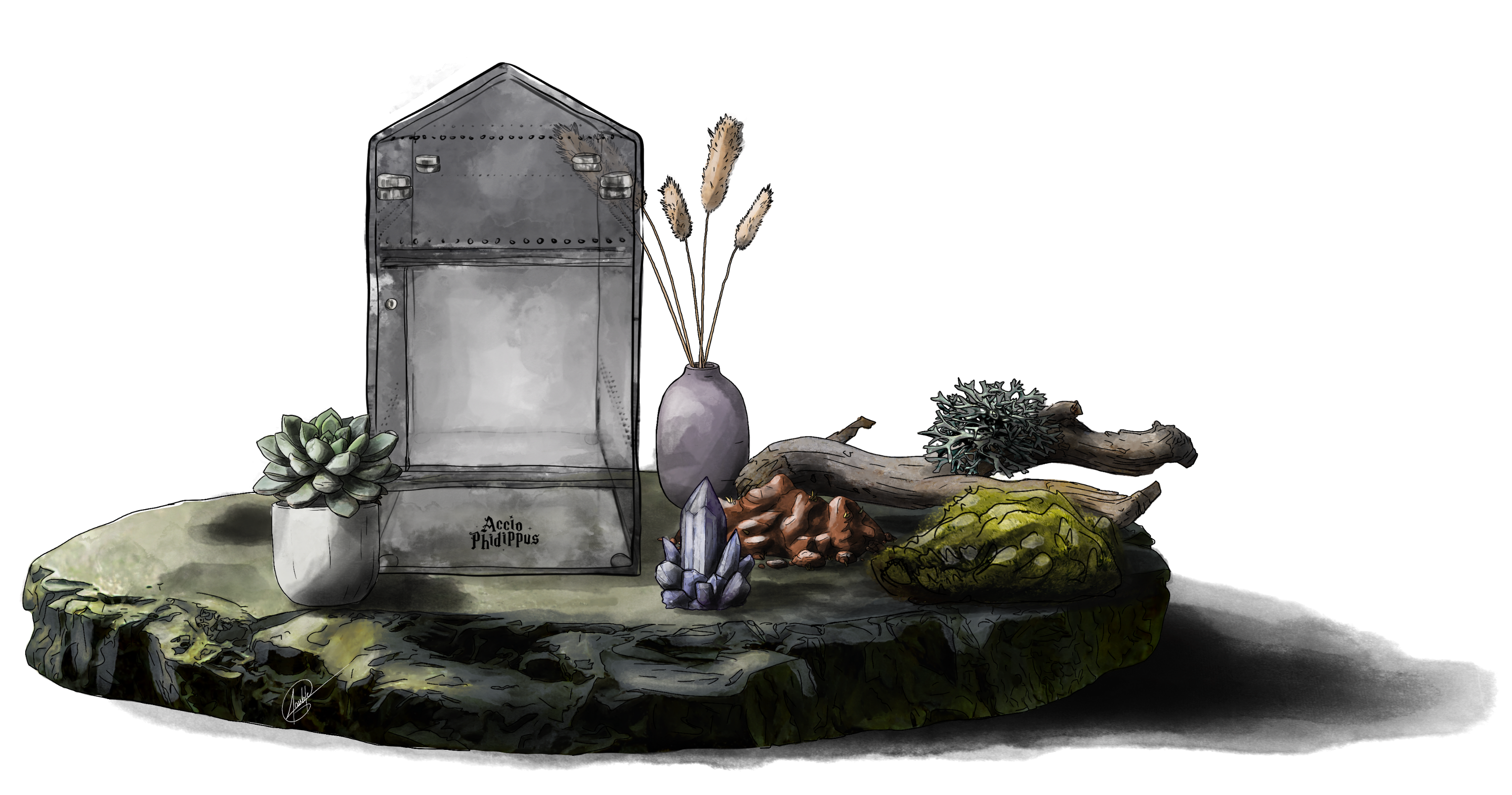 Le kit sans créature