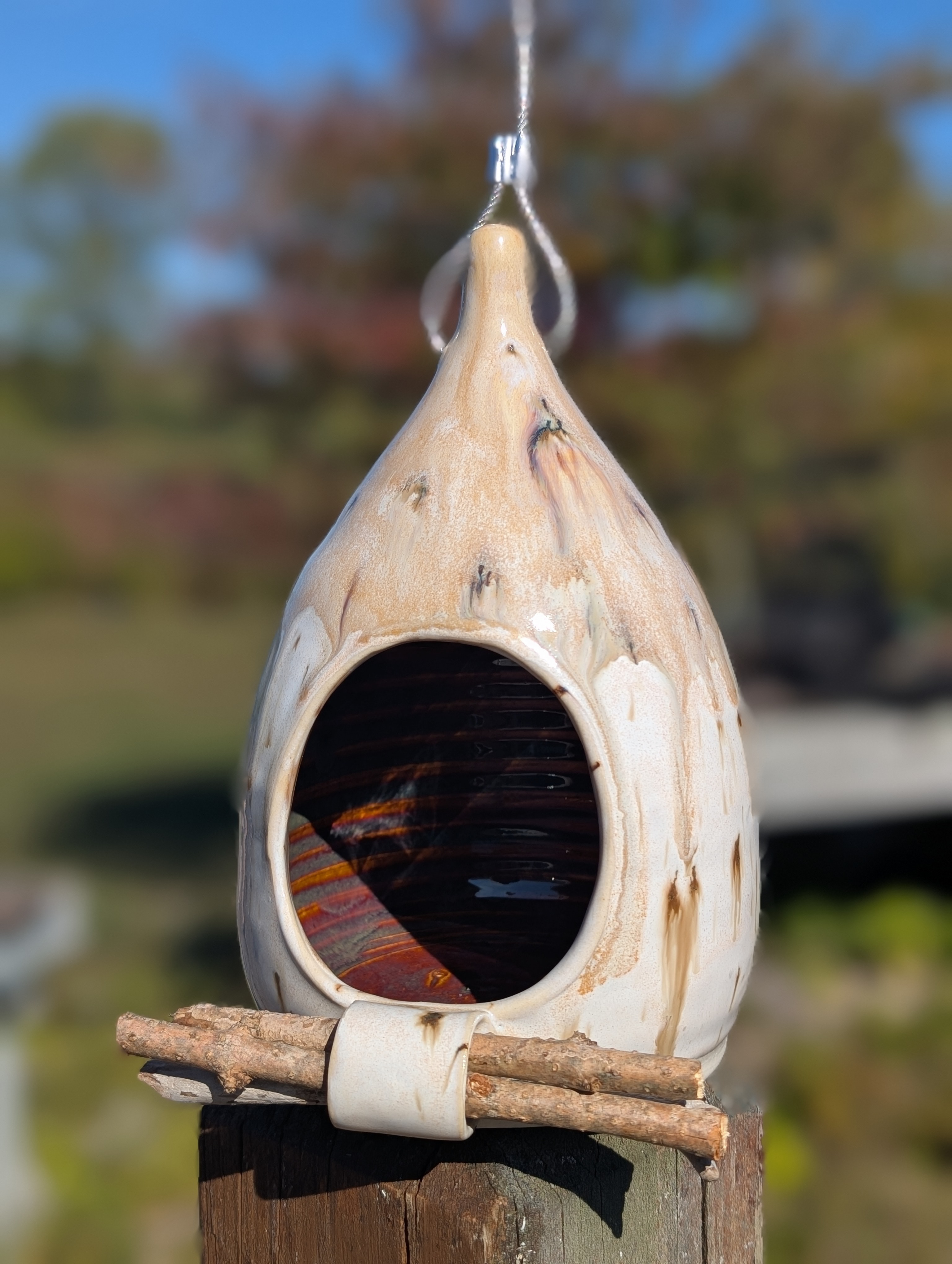 Bird feeder: river birch
