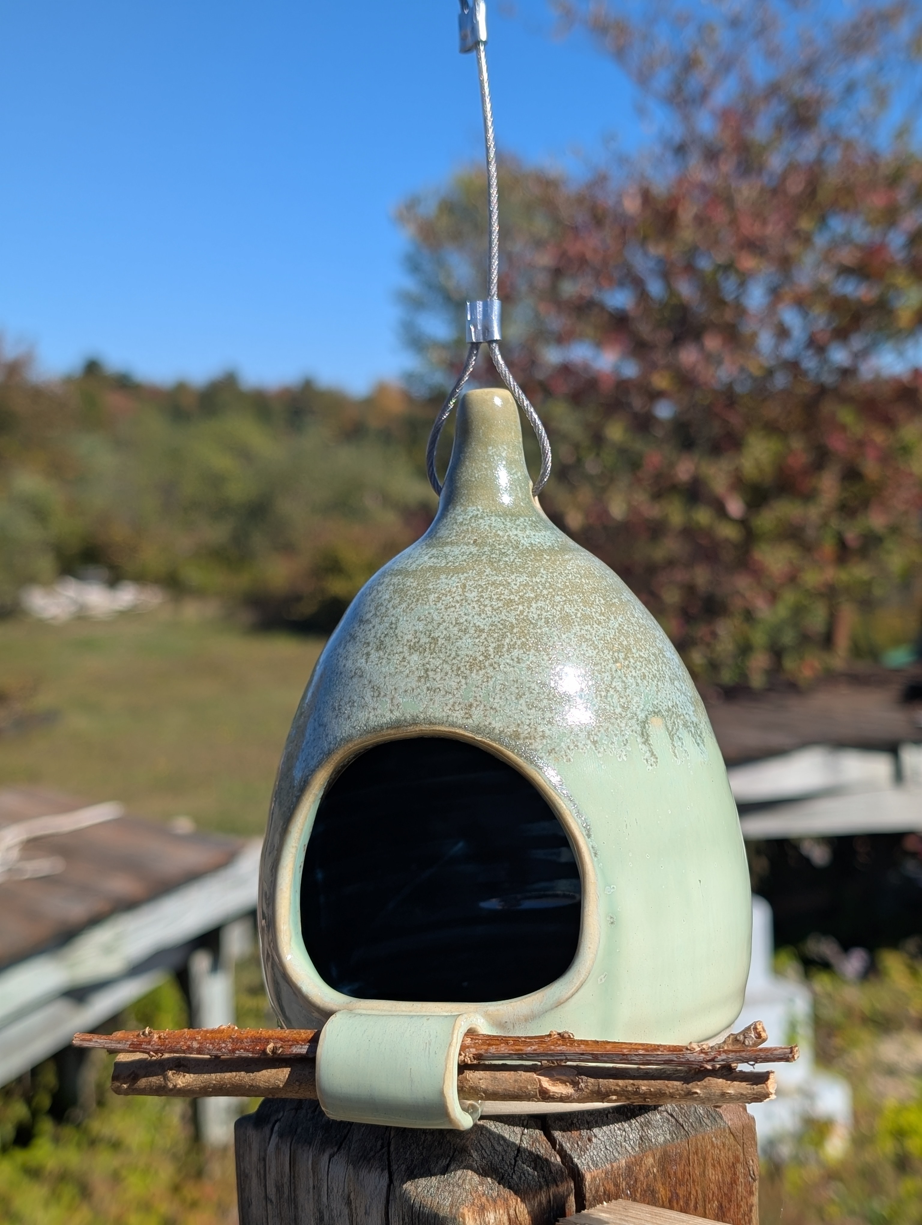 Bird feeder: honeydew ivy 