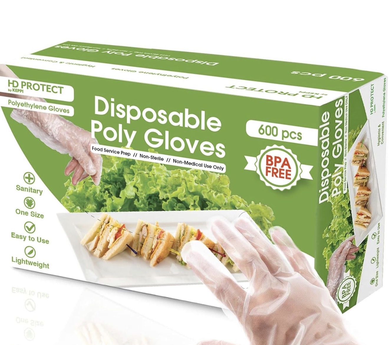 Disposable Gloves (10-pairs)