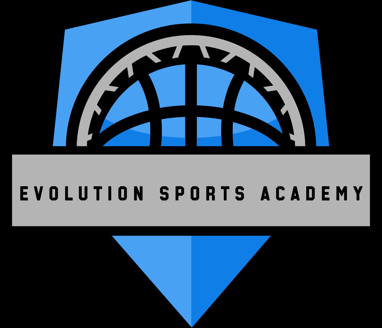 Beginner Skills Training Session