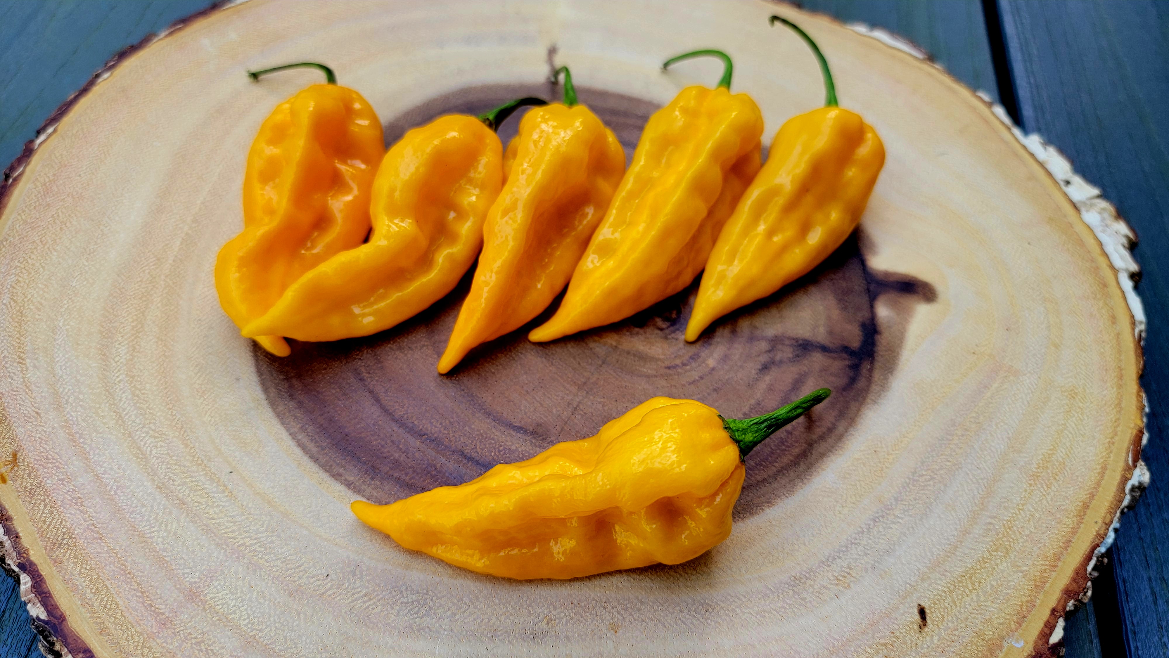 Fatalii Pepper Seeds