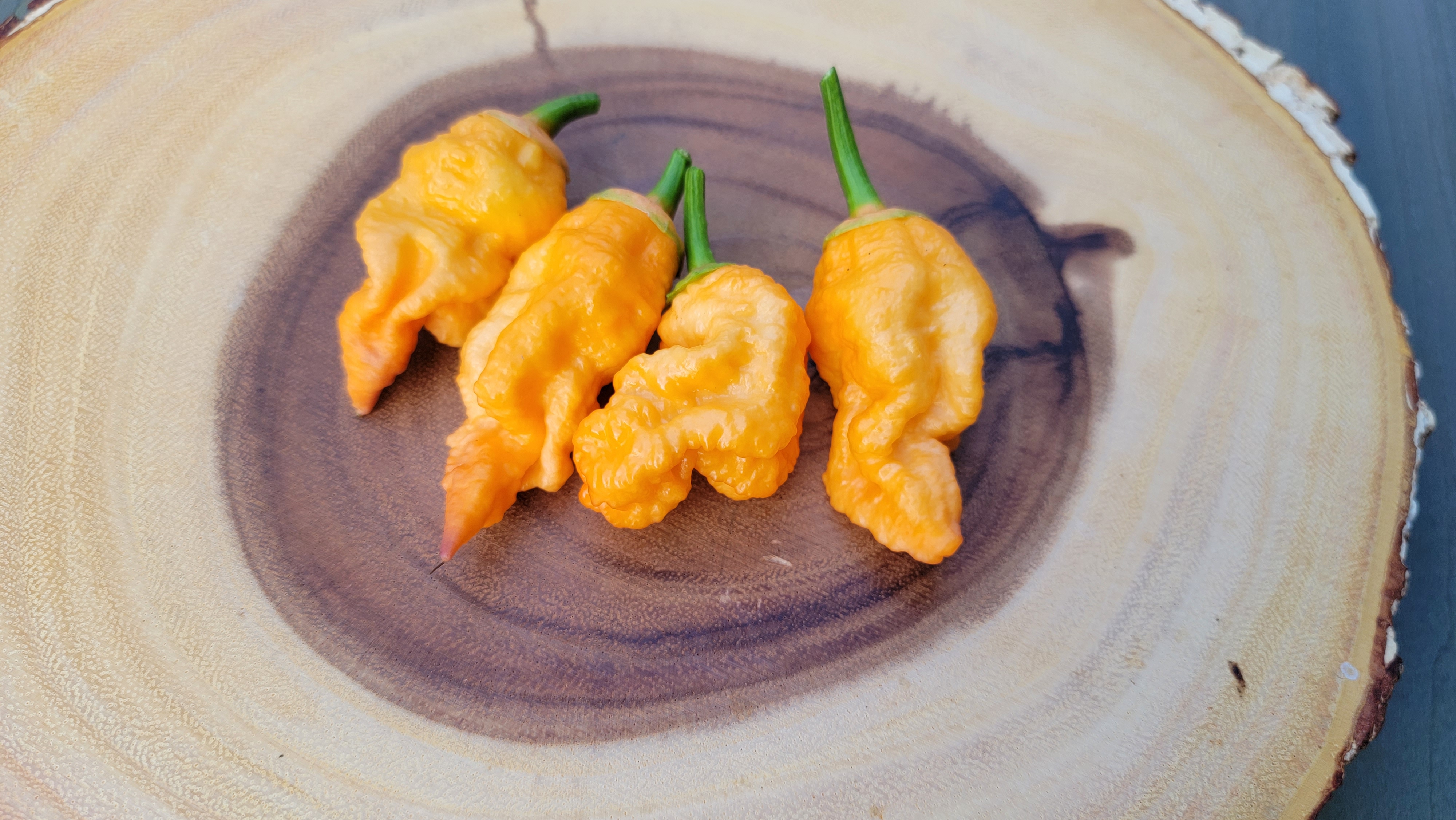 Adrenalina Orange Pepper Seeds